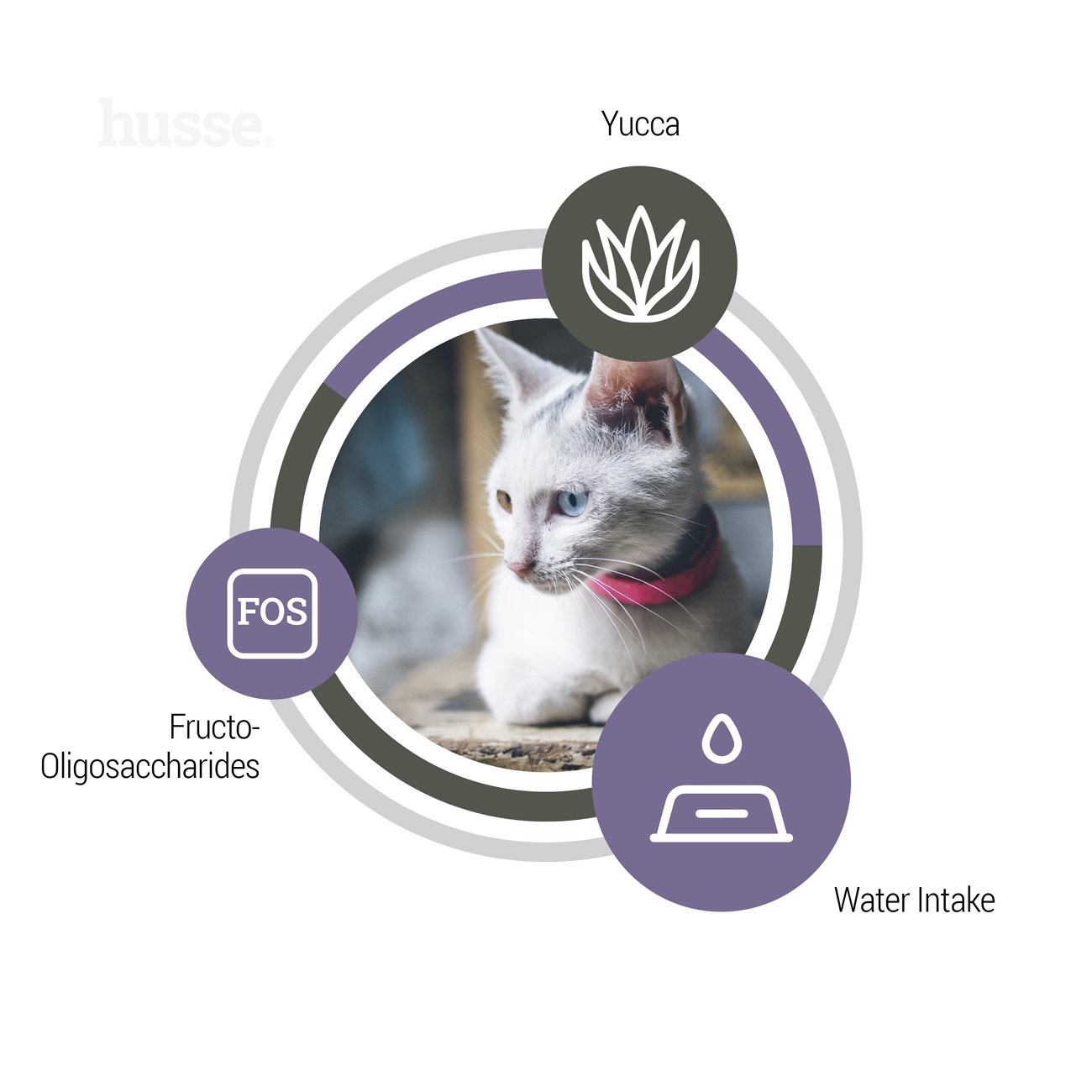 Exclusive Urinary, 2 kg | Komplette Katzenernährung, die zur Erhaltung der Harngesundheit beiträgt