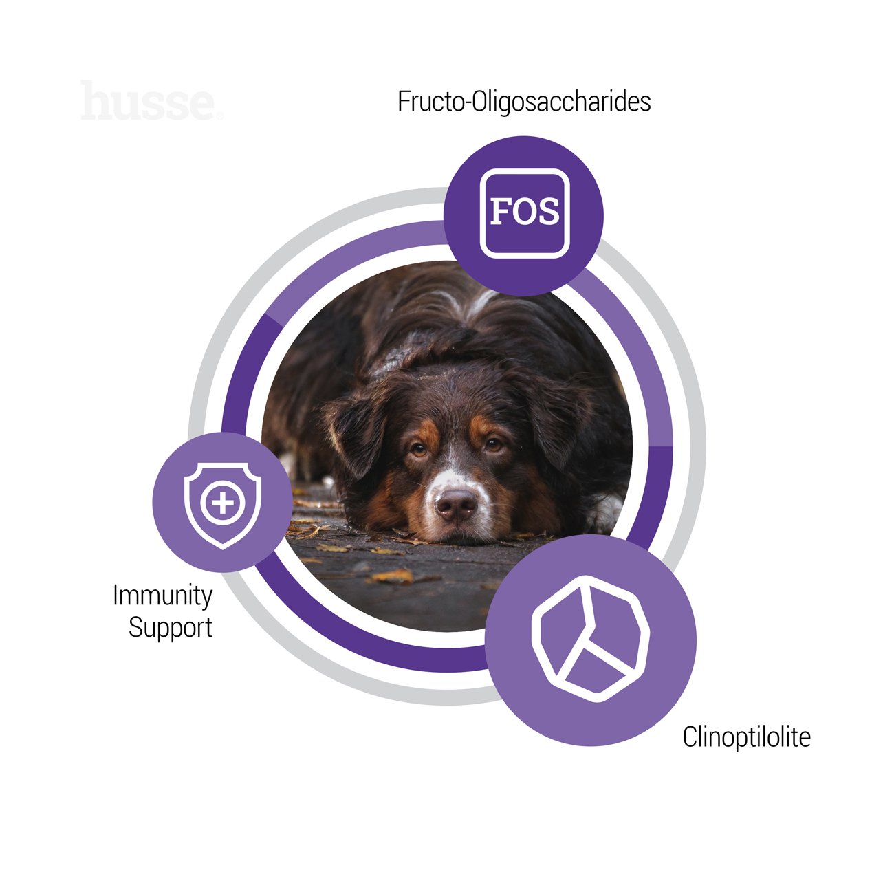 Senior, 12 kg | Ausgewogenes Trockenfutter für die besonderen Bedürfnisse älterer Hunde