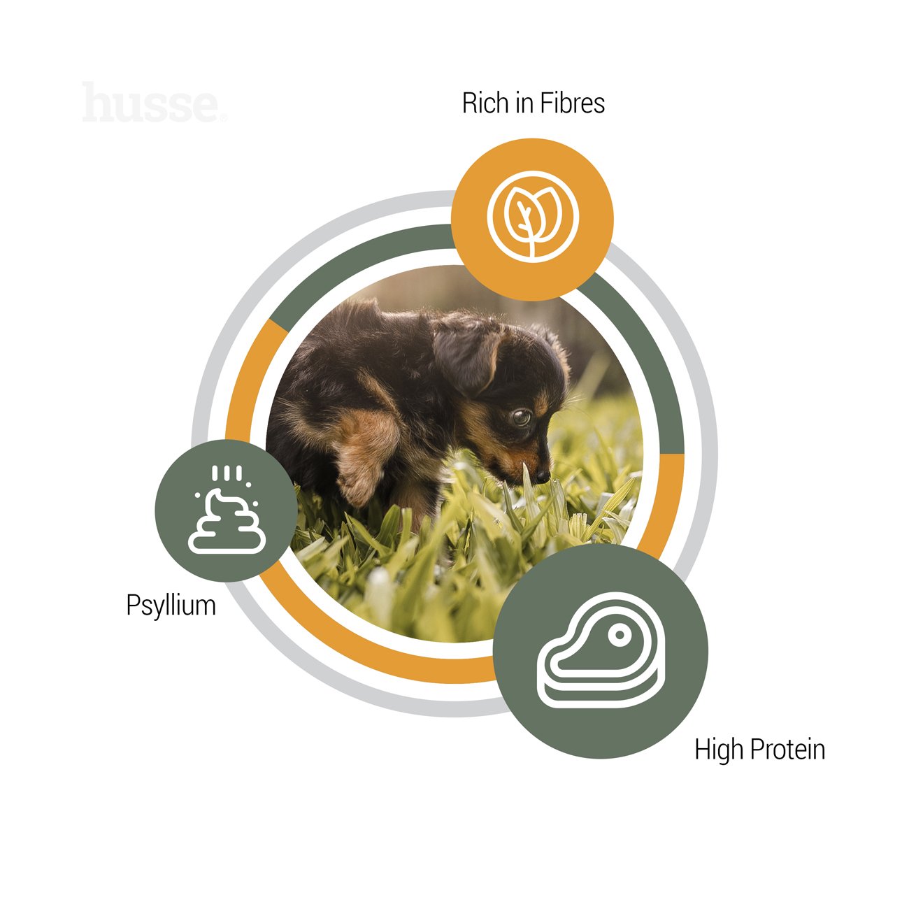 Valp Plus, 2 kg | Komplette Ernährung mit Flohsamen & Pflanzenfasern für eine reibungslose Verdauung