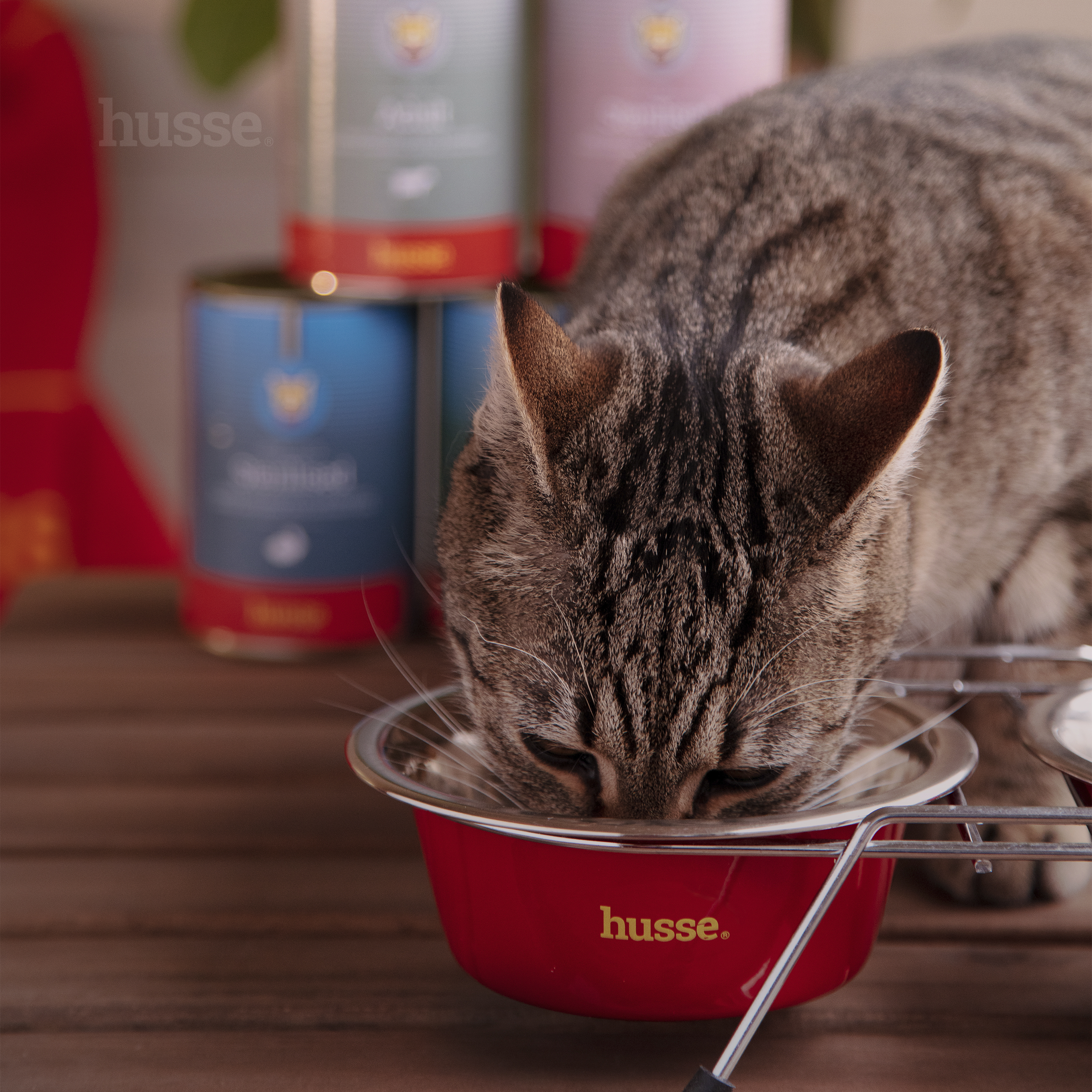 Adult Pâté, 400 g | Ausgewogene Mahlzeit mit Taurinzusatz