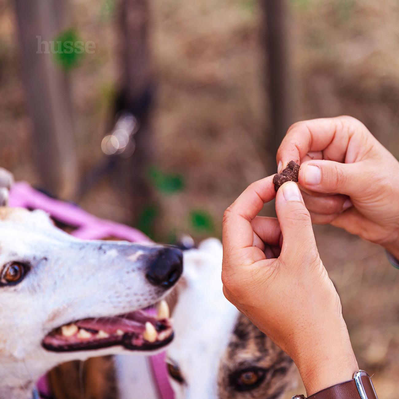 Bravo L, 150 g | Glutenfreie Snacks mit Lamm