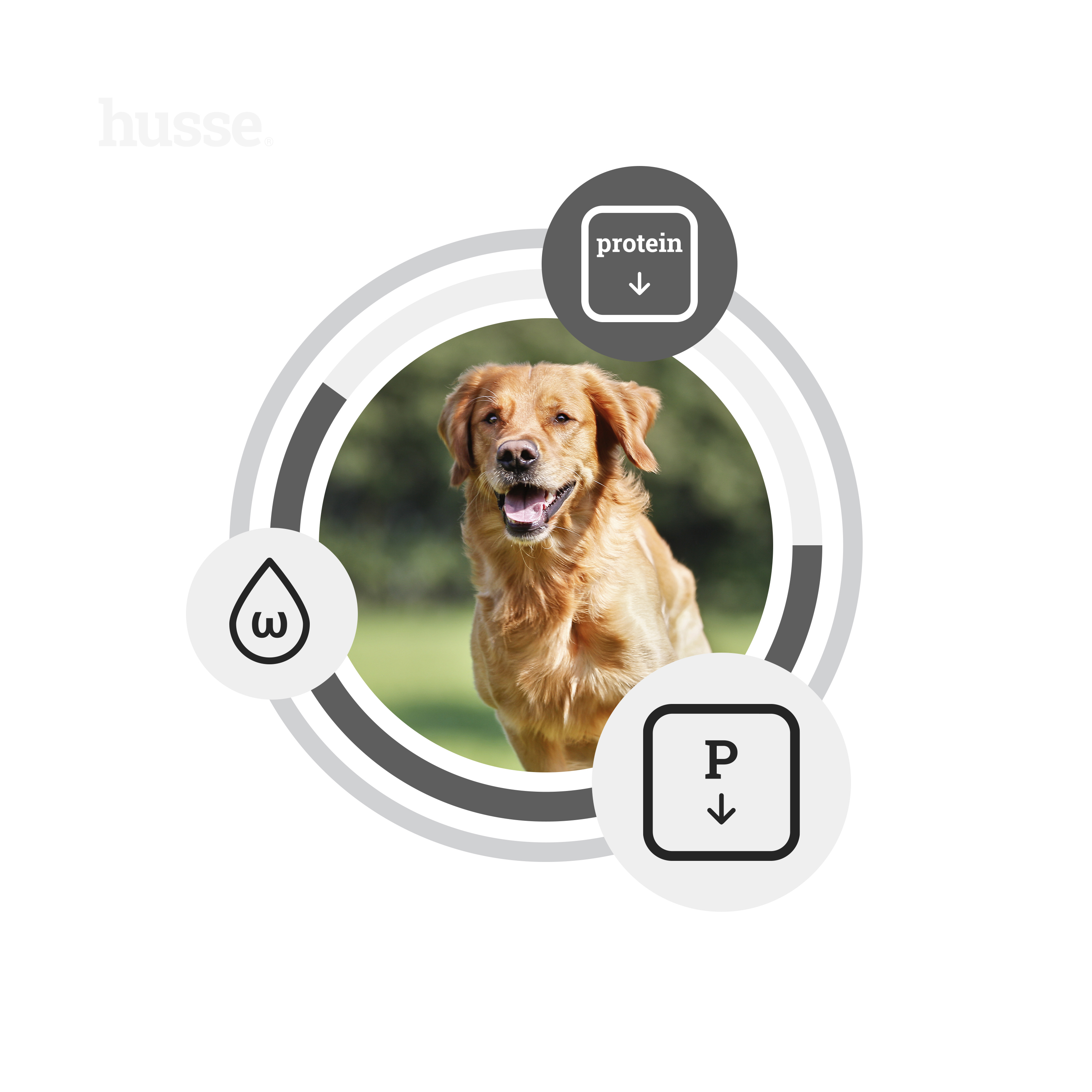 DIET Nieren, Herz & Leber, 7 kg | Tierärztliche Rezeptur zur Unterstützung von Nieren, Herz und Leber