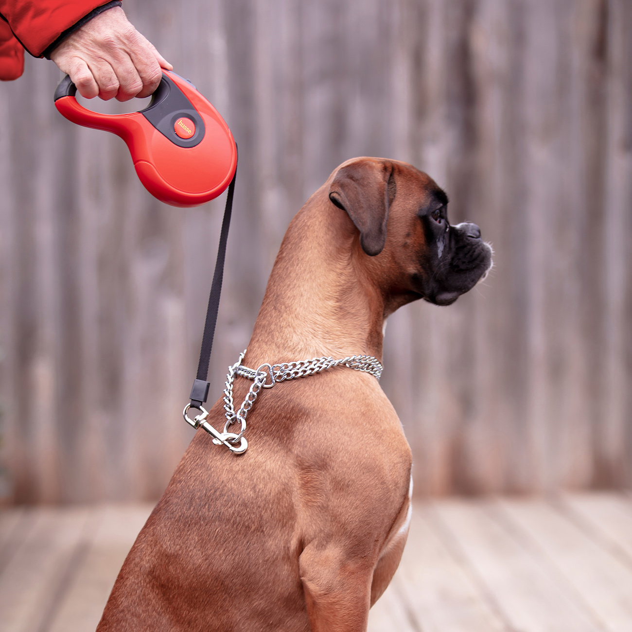 Rulle, 3 m | Leine mit Rückziehsystem & Einhandbremse