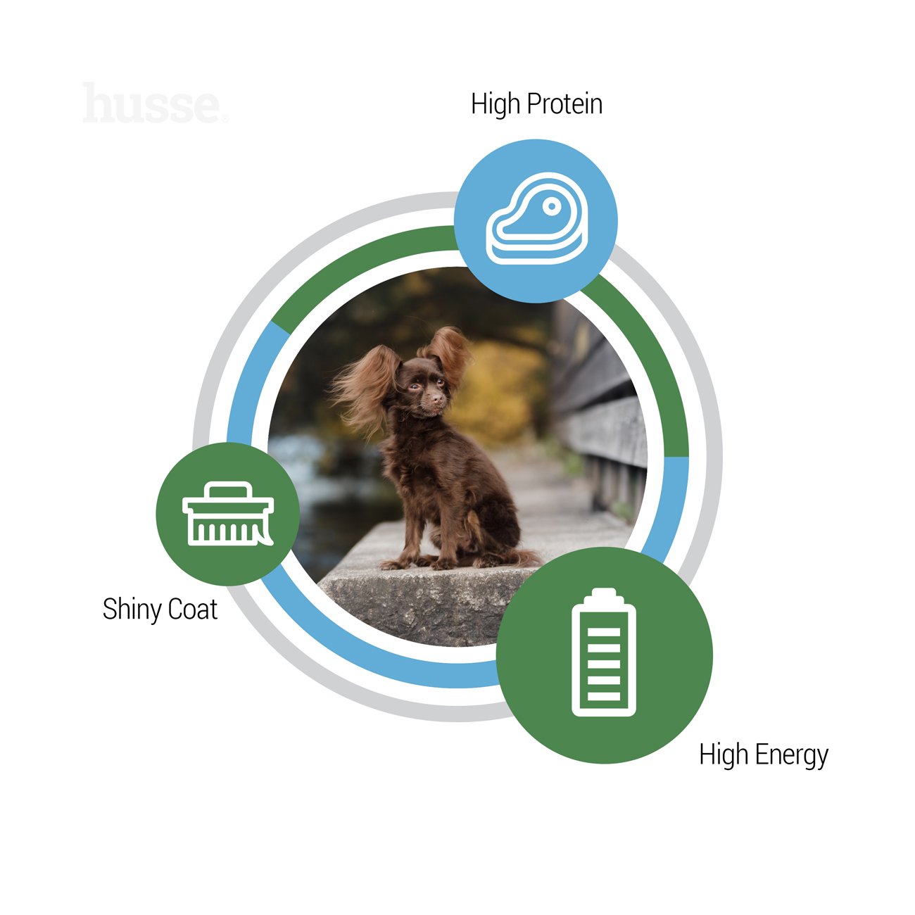 Optimal Mini, 2 kg | Glutenfreies Hundetrockenfutter für den hohen Energiebedarf