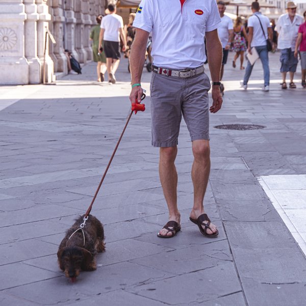 Spazierleine, 1 St. | Strapazierfähige und stylische Leine für den täglichen Gebrauch