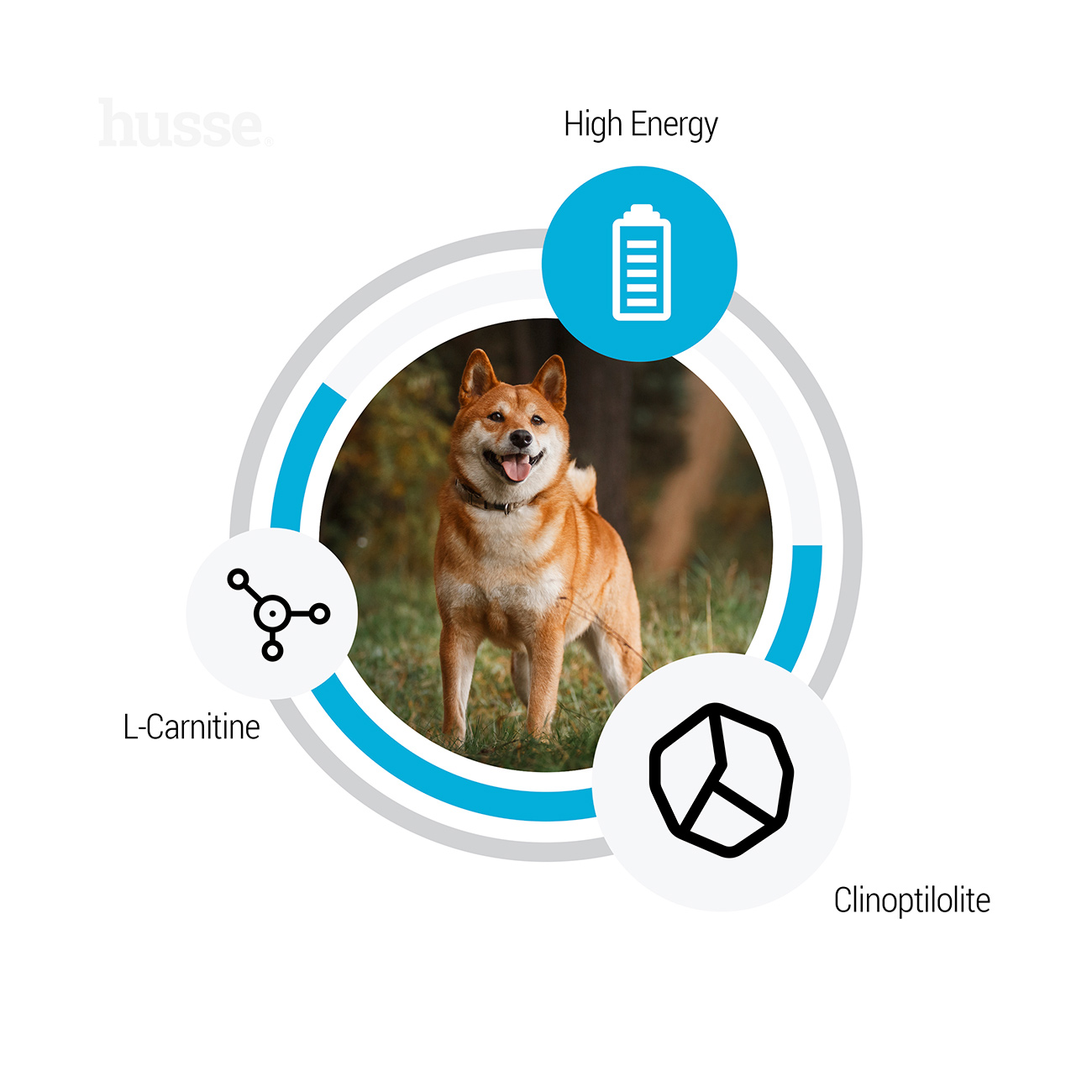 Sensitive Optimal, 12,5 kg | Glutenfreies Trockenfutter für Hunde zur Deckung des erhöhten Energiebedarfs