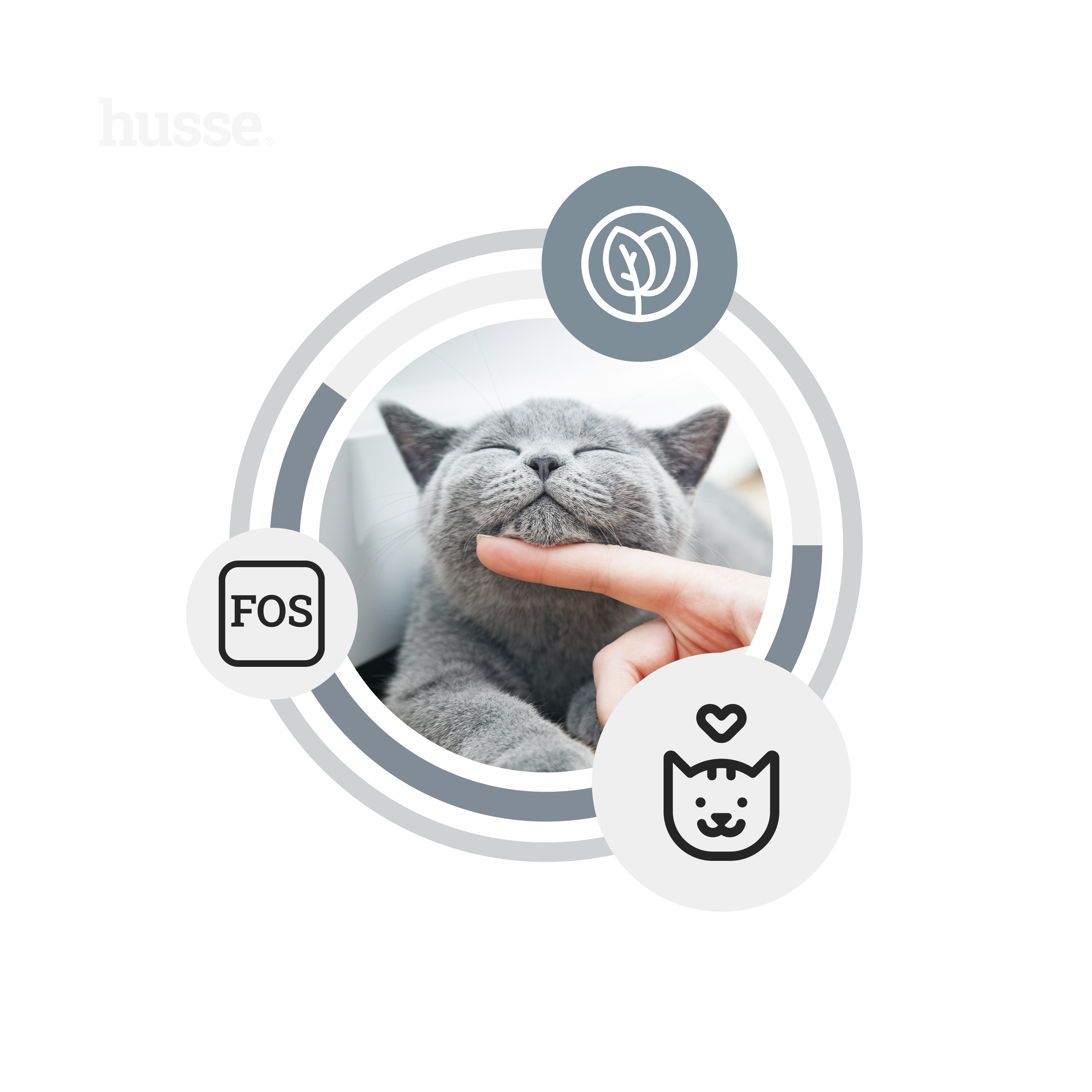 FRESH Hairball Control, 2 kg | Trockenvollnahrung für ausgewachsene Katzen