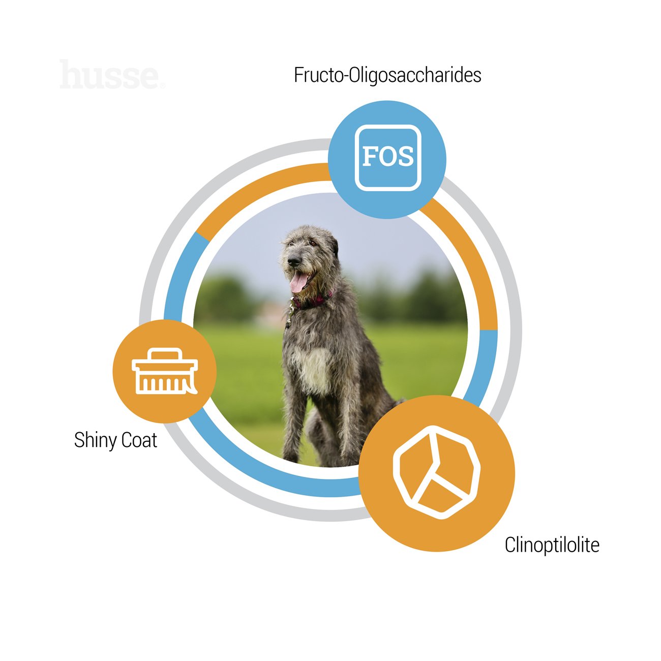 Optimal Giant, 12 kg | Ausgewogenes Trockenfutter für Hunde großer Rassen