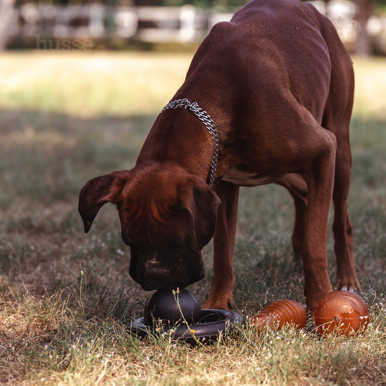 Kägel, S | Kegelförmiges Spielzeug aus Gummi