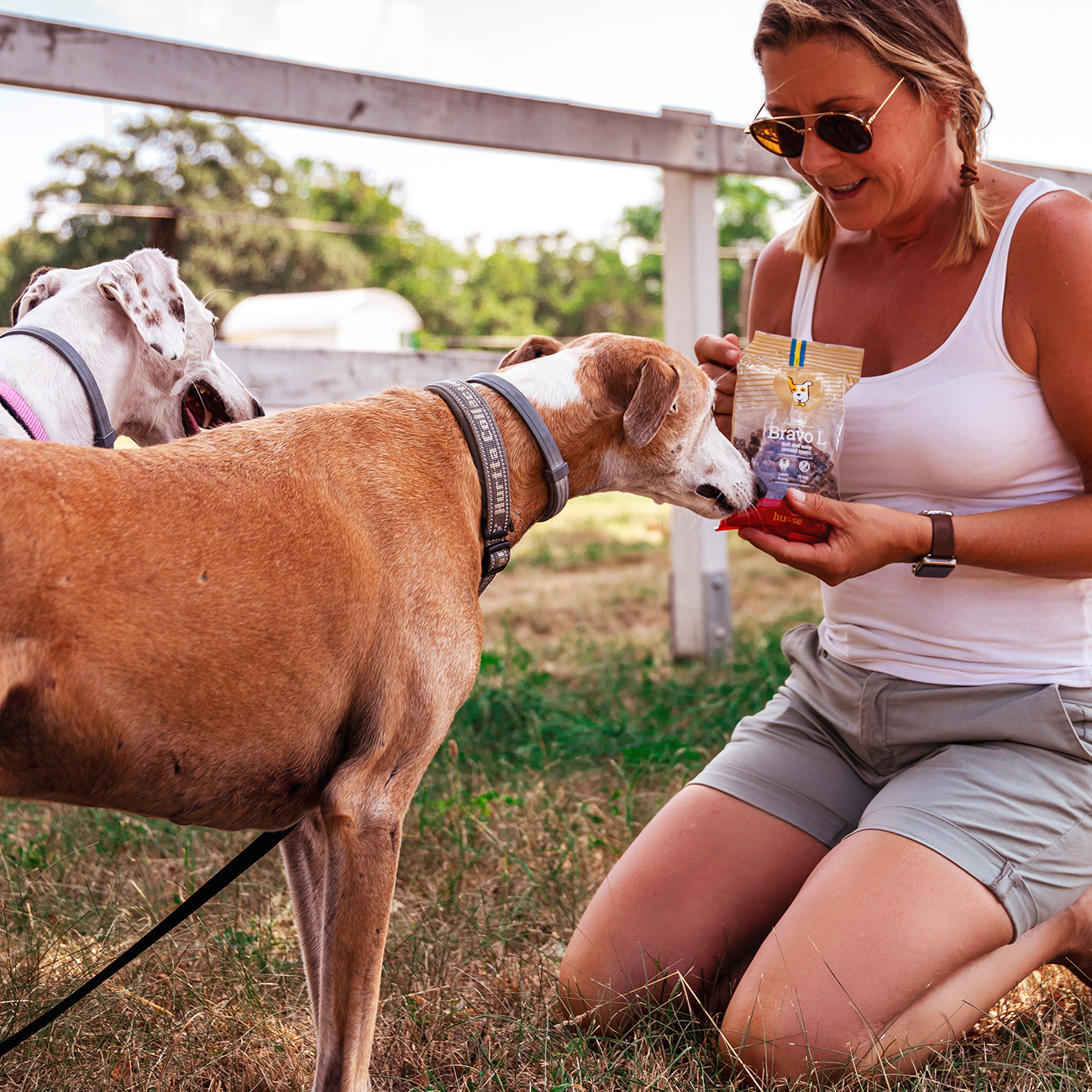 Bravo L, 150 g | Glutenfreie Snacks mit Lamm