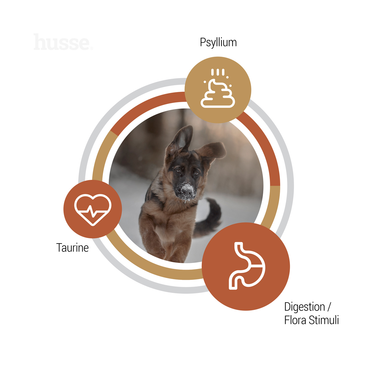 Valp Farm, 12 kg | Getreidefreie Kroketten mit hohem tierischem Proteingehalt aus begrenzten Quellen