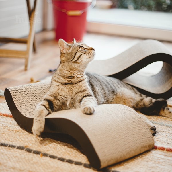 Krusa, 1 St. | Kratzbrett, um Ihre Katze gesund und aktiv zu halten