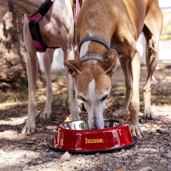 Futternapf, S | Rutschfester Hunde- und Katzennapf