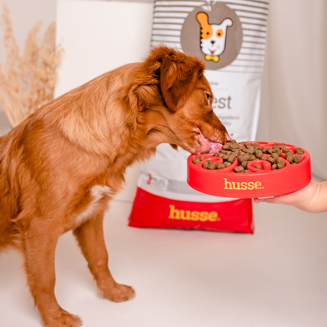 Sensitive Digest, 2 kg | Glutenfreies Rezept mit begrenzten tierischen Proteinquellen