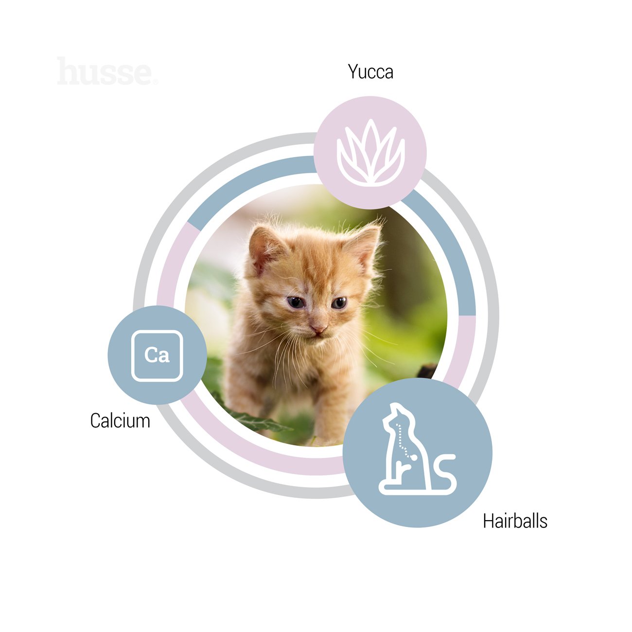 Exclusive Kattunge, 2 kg | Komplette Ernährung speziell für heranwachsende Kätzchen