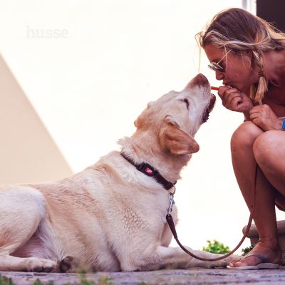 Hühnerfiletstreifen, 100 g | Hühnchenstreifen mit Chondoritin & Glucosamin