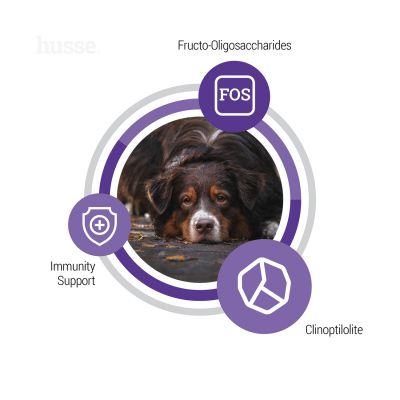 Senior, 12 kg | Ausgewogenes Trockenfutter für die besonderen Bedürfnisse älterer Hunde