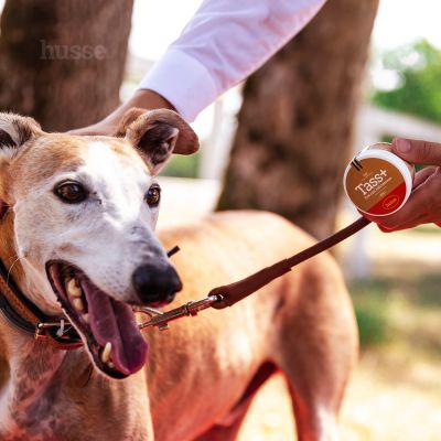 Tass Plus, 40 ml | Pfotenpflegemittel mit Bienenwachs