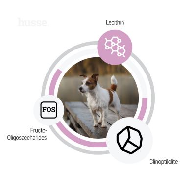 Sensitive Ocean Care Mini, 2 kg | Glutenfreies Rezept mit einer einzigen tierischen Proteinquelle