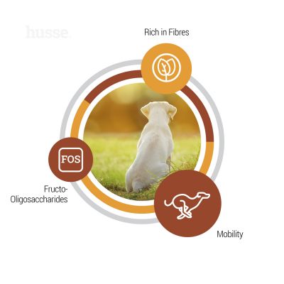 Valp Maxi, 12 kg | Unterstützt die Entwicklung von Welpen großer Rassen