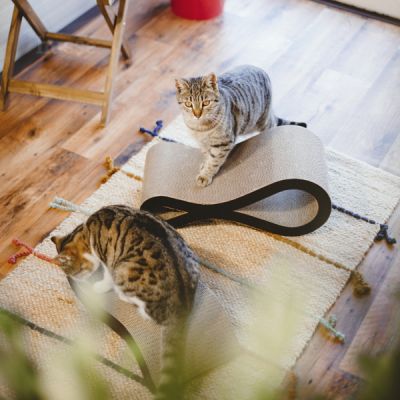 Krusa, 1 St. | Kratzbrett, um Ihre Katze gesund und aktiv zu halten