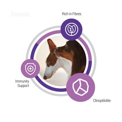 Sterilised, 12 kg | Ausgewogenes Trockenfutter für die besonderen Bedürfnisse sterilisierter ausgewachsener Hunde