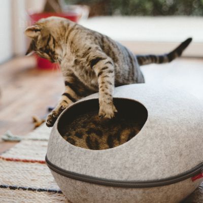 Krypin, 1 St. | Überdachtes Katzenbett, damit es Ihre Katze warm und gemütlich hat