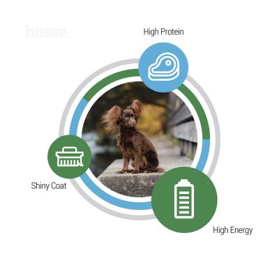 Optimal Mini, 2 kg | Glutenfreies Hundetrockenfutter für den hohen Energiebedarf