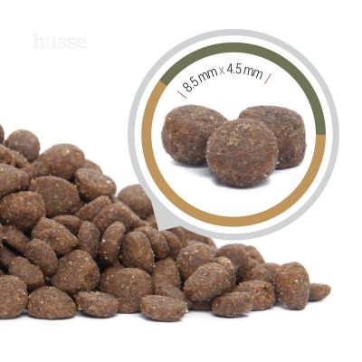 Opus Lynx 2 kg | Getreidefreie Kroketten für Katzen mit empfindlicher Haut & Magen