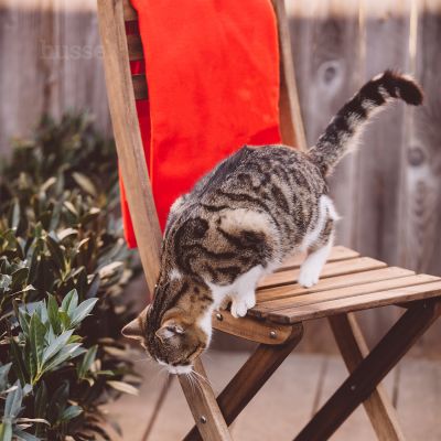 Decke, S | Weiche Kuscheldecke für maximalen Plüsch und Komfort