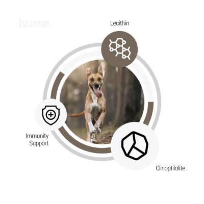 Sensitive Digest, 2 kg | Glutenfreies Rezept mit begrenzten tierischen Proteinquellen