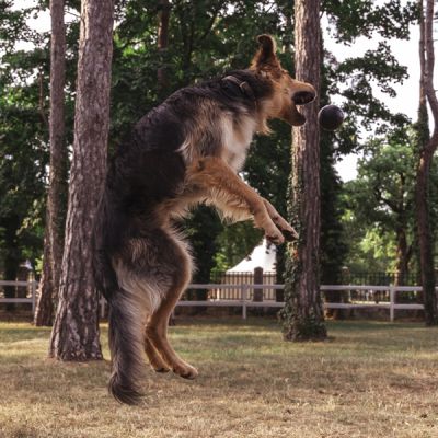 Boll, S | Hüpfender Gummiball