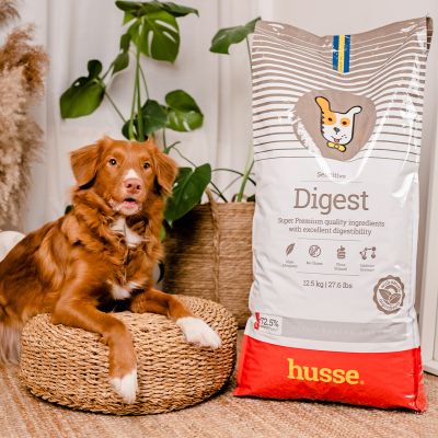 Sensitive Digest, 2 kg | Glutenfreies Rezept mit begrenzten tierischen Proteinquellen