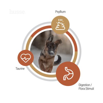 Valp Farm, 12 kg | Getreidefreie Kroketten mit hohem tierischem Proteingehalt aus begrenzten Quellen