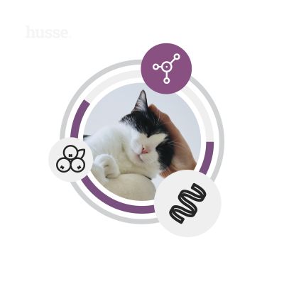 FRESH Sterilised, 2 kg | Trockenvollnahrung für sterilisierte Katzen