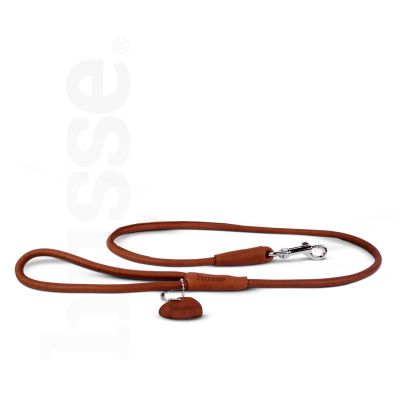 Spazierleine, 1 St. | Strapazierfähige und stylische Leine für den täglichen Gebrauch