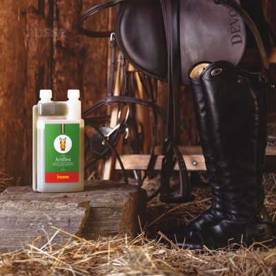 Artiflex, 1 L | Nahrungsergänzung  für Gesundheit der Gelenke mit Chondroitin & Glucosamin