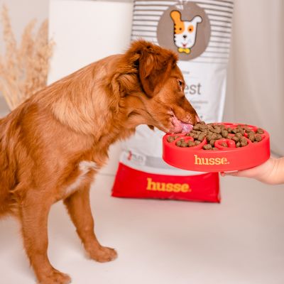 Sensitive Digest, 2 kg | Glutenfreies Rezept mit begrenzten tierischen Proteinquellen