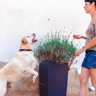 Hühnerfiletstreifen, 100 g | Hühnchenstreifen mit Chondoritin & Glucosamin